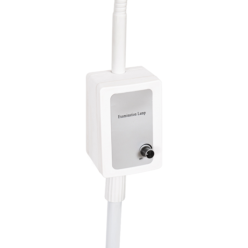 Lampe d'examen à col de cygne LED avec batterie de secours intégrée 3W Lampe d'examen à col de cygne LED avec batterie de secours intégrée 3W