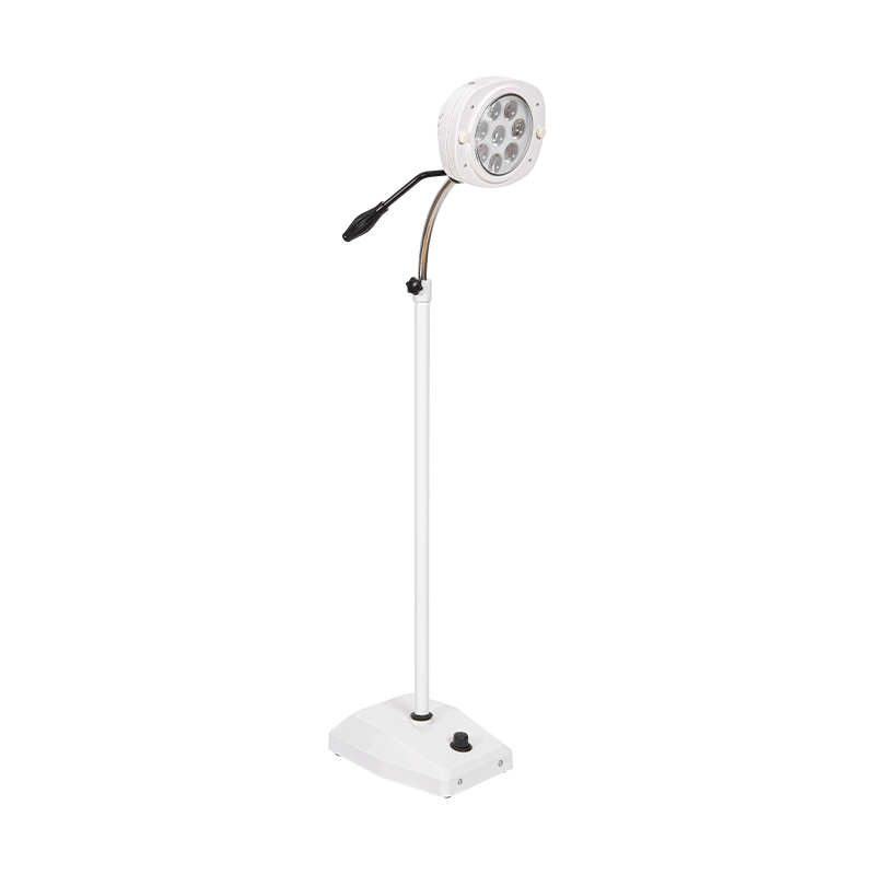 Lampe d'examen dentaire à lumière froide à LED à 8 trous Lampe d'examen dentaire à lumière froide à LED à 8 trous