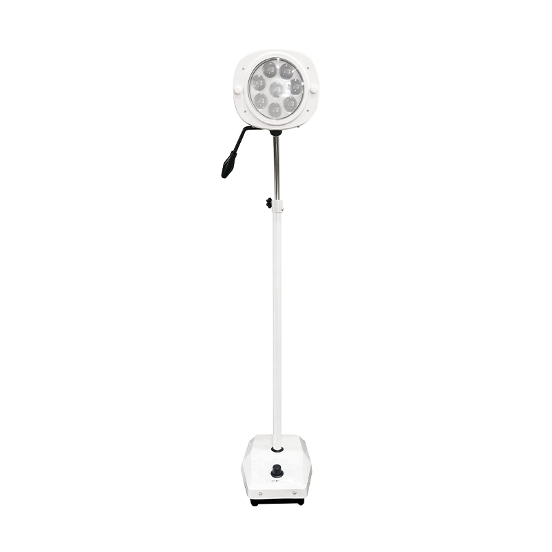 Lampe d'examen dentaire à lumière froide à LED à 8 trous Lampe d'examen dentaire à lumière froide à LED à 8 trous